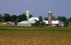 Photo: Farm and Raw Land Example