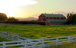 Photo: Farmland Example