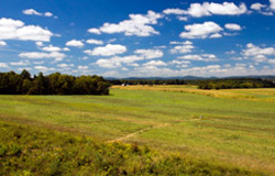 Photo: Raw Land & Mountain Ground Example